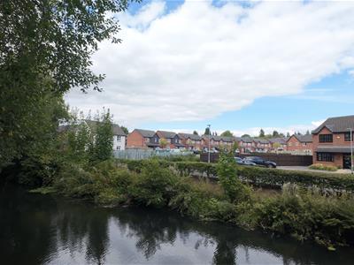 Picture 20